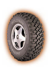 Wildcat EXT Radial LT